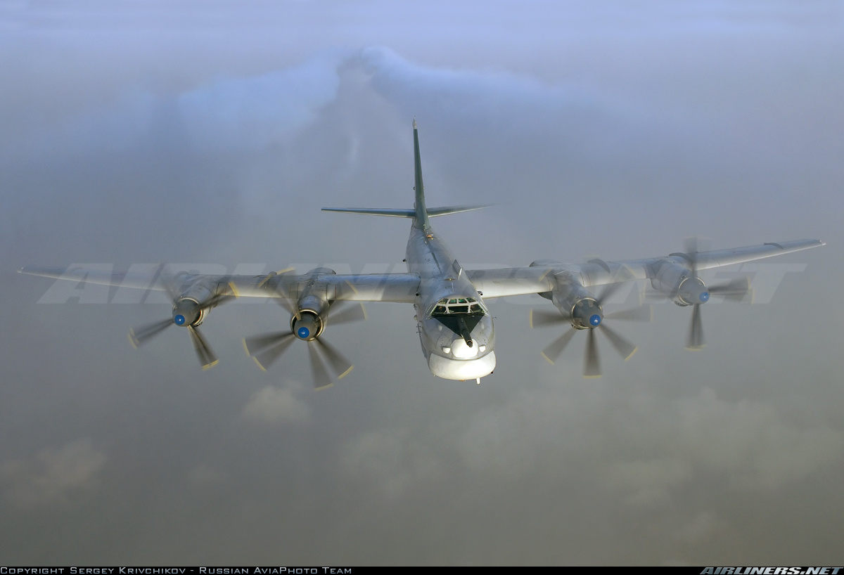 Tupolev Tu-95 in flight.jpg